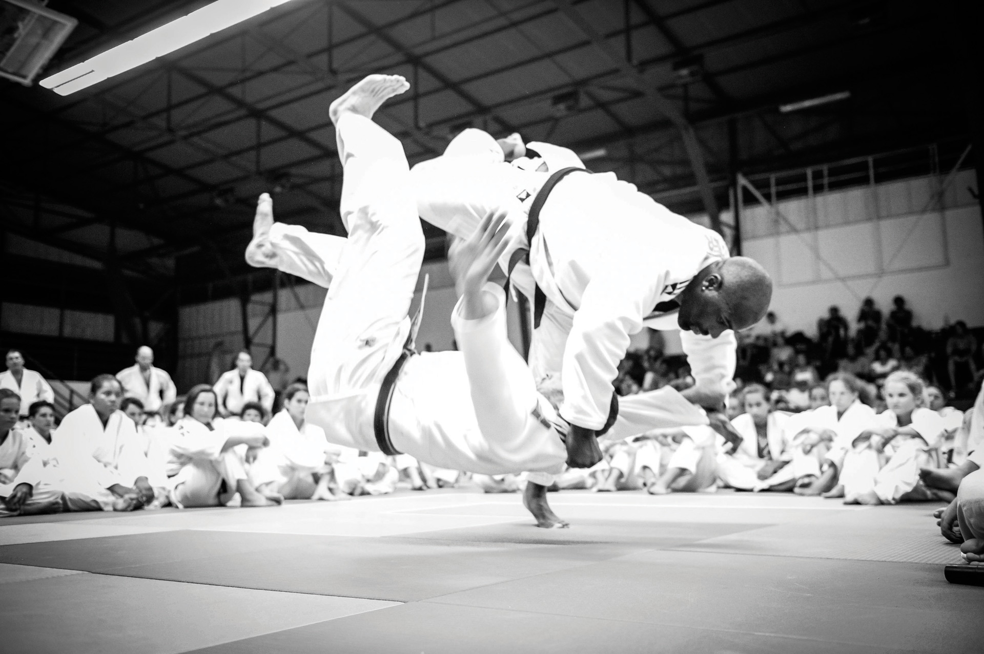 Chiến lược kinh doanh Judo