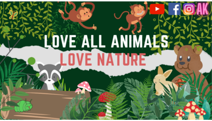 Online] Dự Án Love All Animals & Nature Tuyển Dụng Đại Sứ Truyền Thông 2021  - YBOX