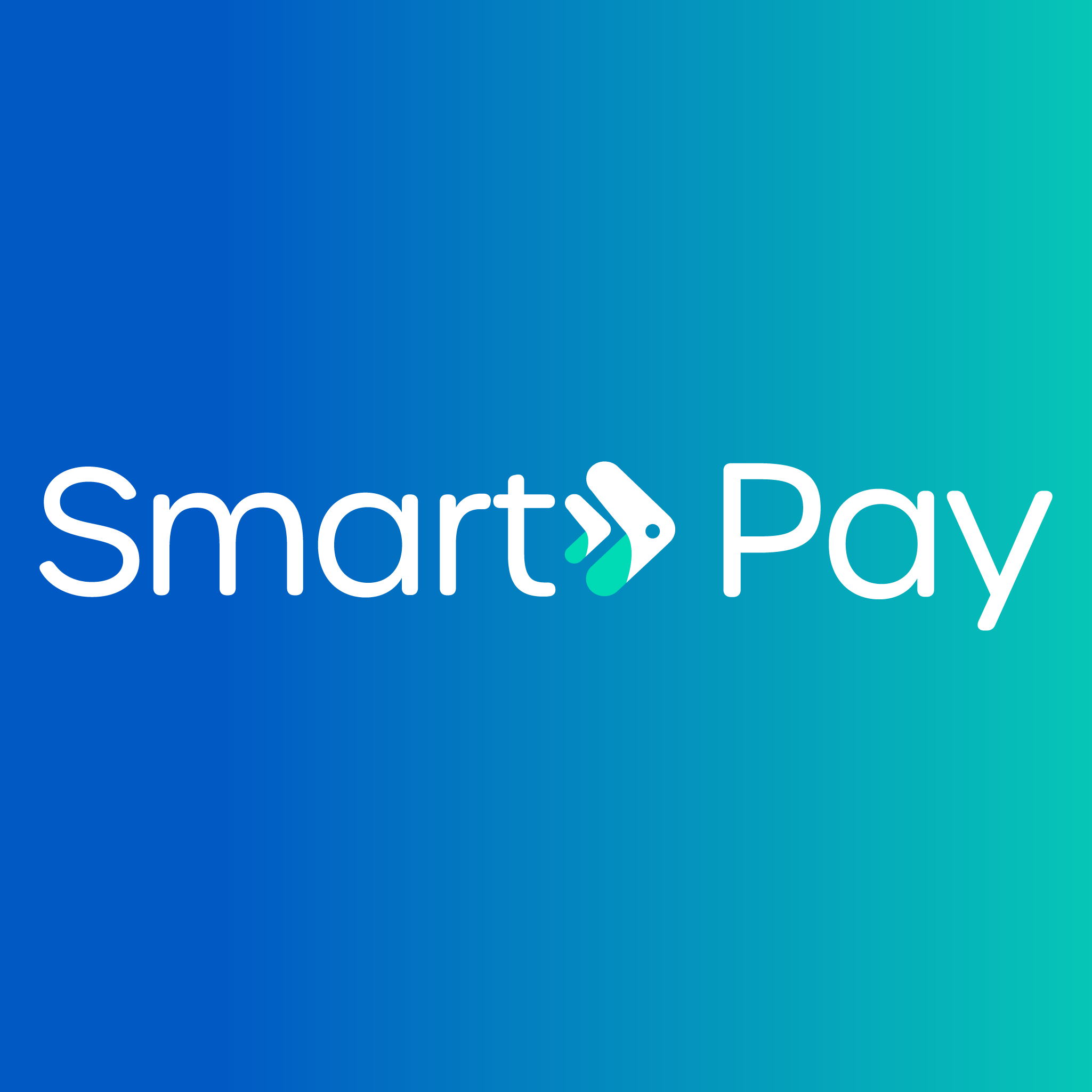 [HCM] Công Ty Ví Điện Tử Smartpay Tuyển Dụng Chuyên Viên Customer ...