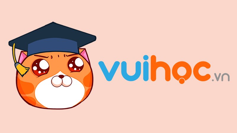 Công Ty Vh Edtech (nền Tảng Học Tập Trực Tuyến Vuihoc)